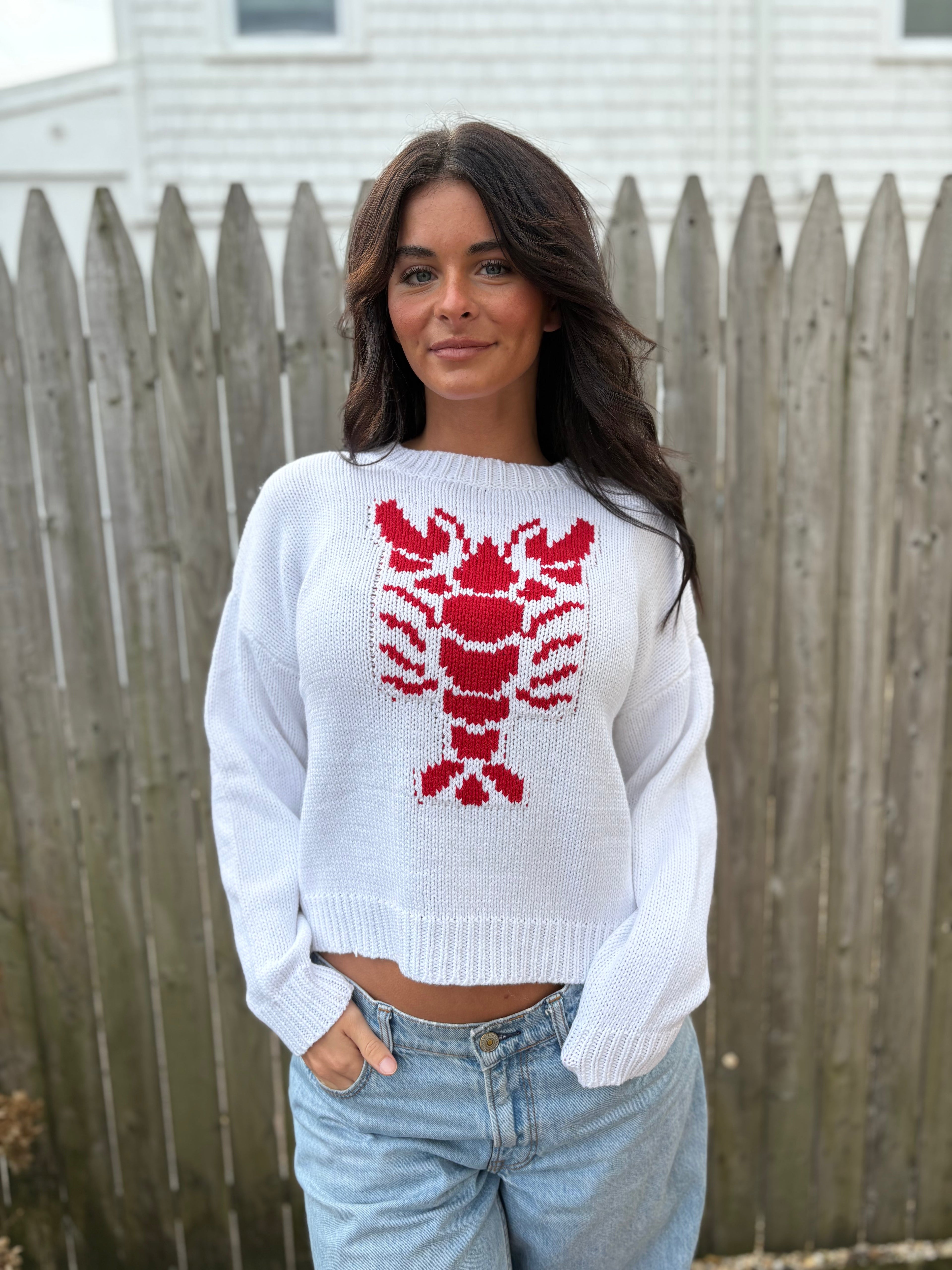 Knit Lobster Sweater