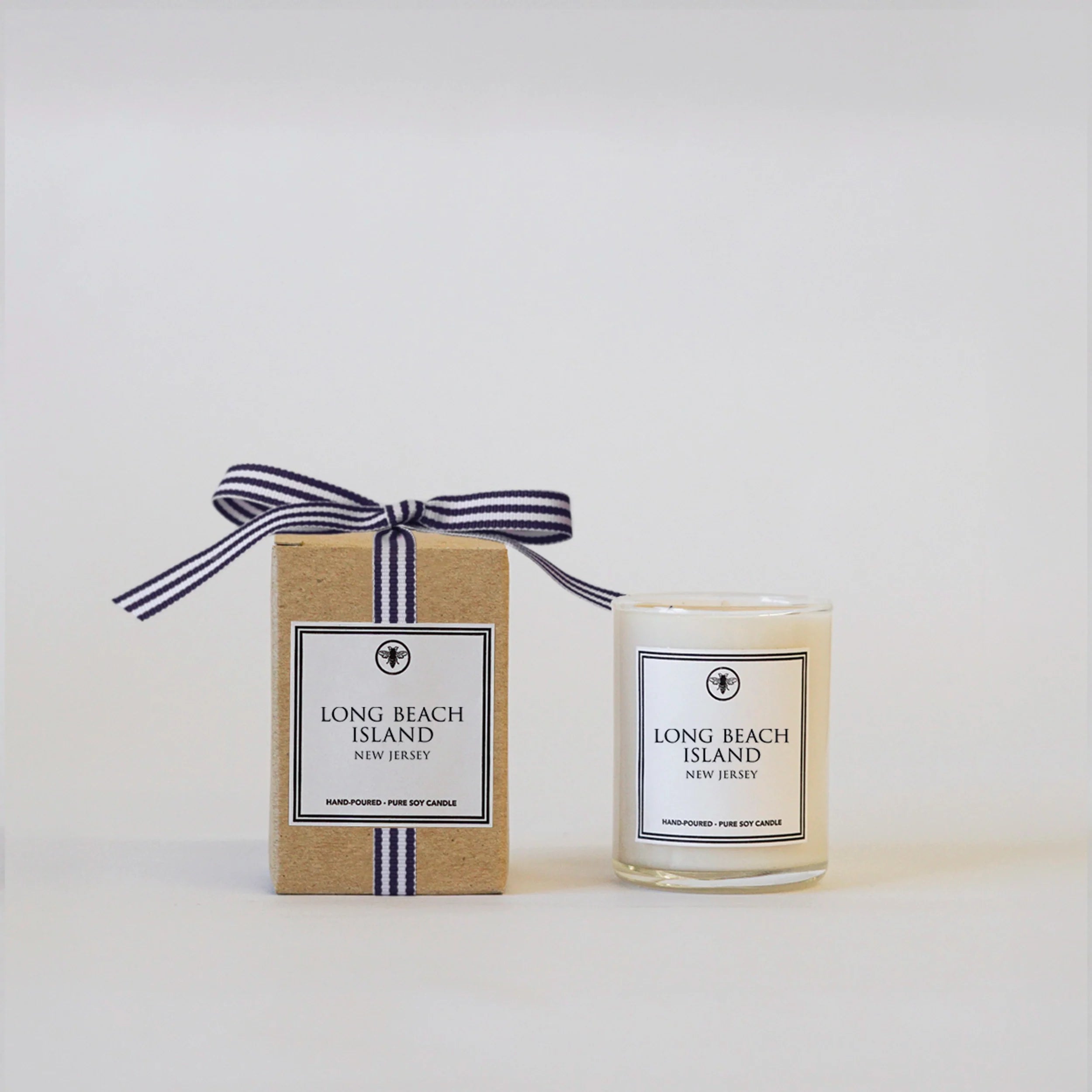 Stripe Long Beach Island Sidekick