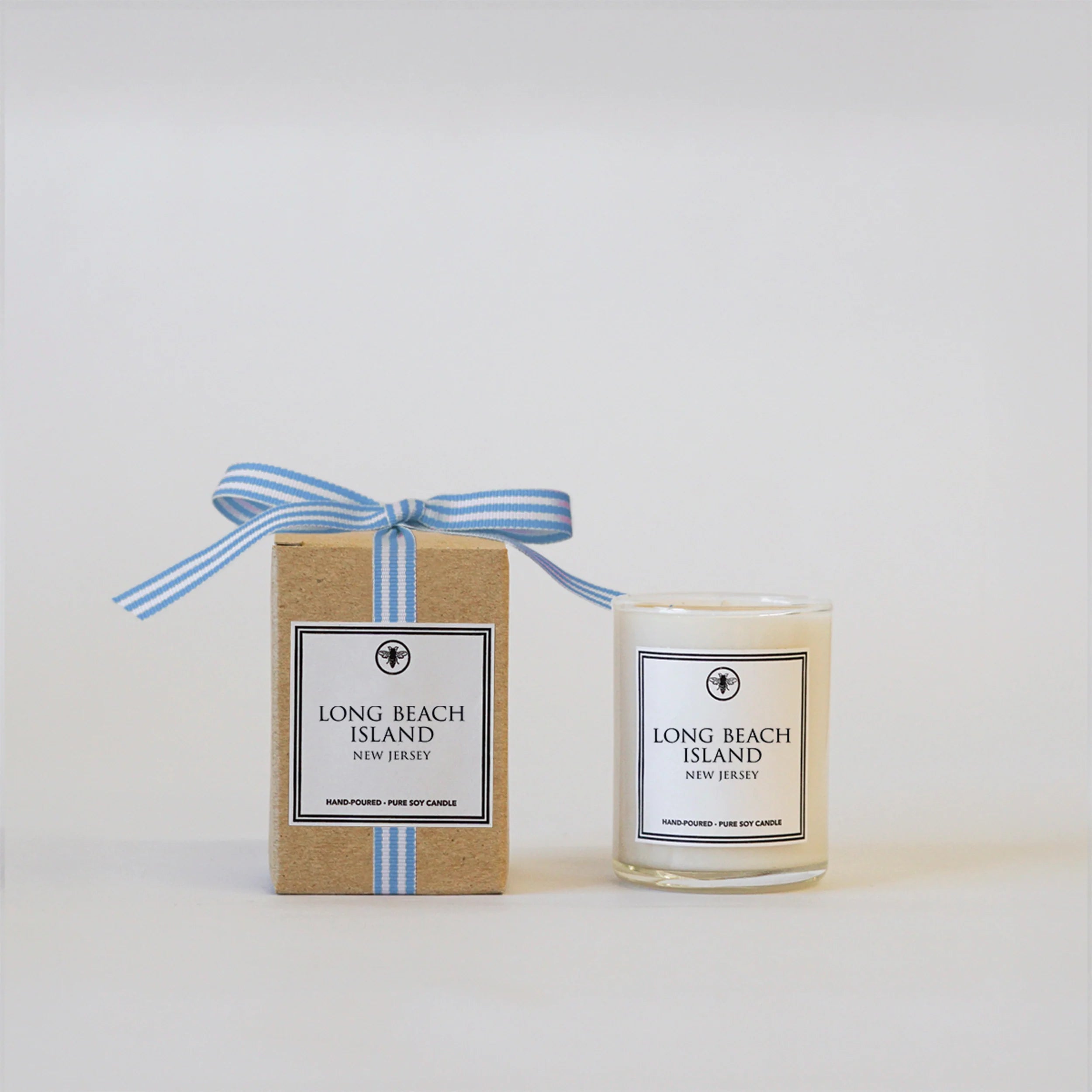 Stripe Long Beach Island Sidekick